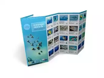 Pocket guide cover of Galapagos Marine Life (submersible field-guide)
