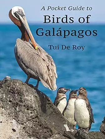 Cover of A Pocket Guide to Birds of Galápagos