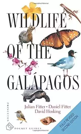 Cover of the book Wildlife of the Galapagos