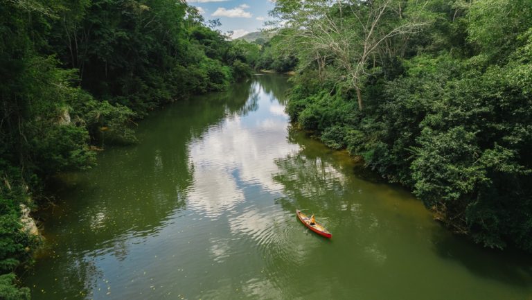 Aerial view of person paddling a red canoe down a glassy river on a Belize jungle tour at Chaa Creek.