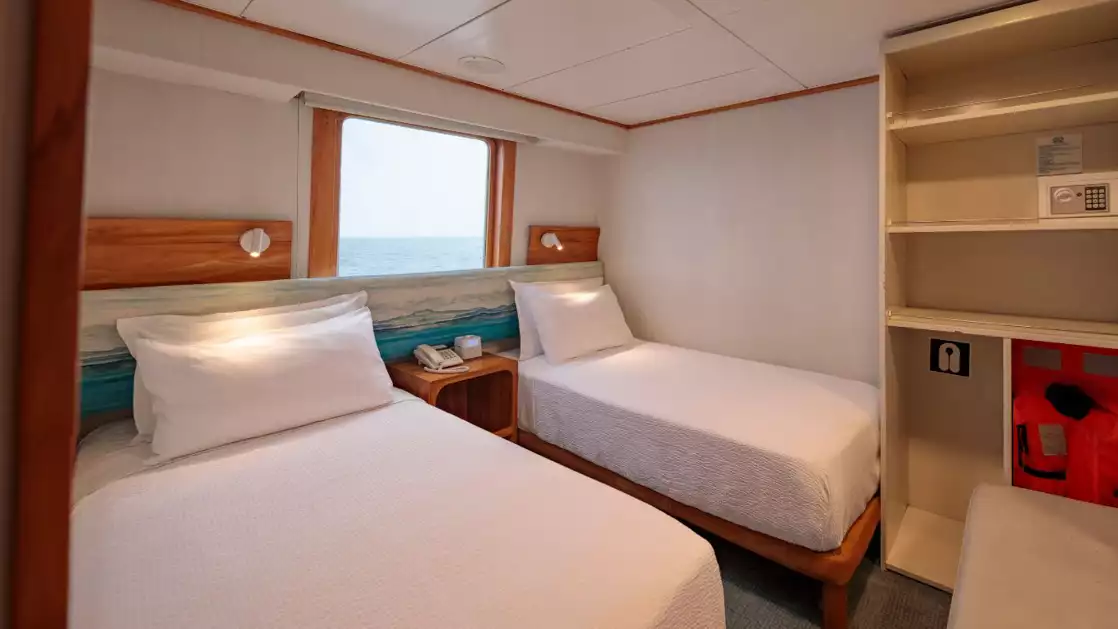 Interior of Junior Cabin with 2 twin beds and two large windows aboard Coral I & Coral II yachts in the Galapagos Islands