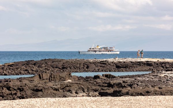 Galapagos Cruises - Expert Booking on the 25+ Best Small Ships