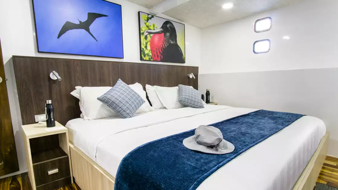 An intimate lower deck standard cabin with king bed offers comfort while aboard the Natural Paradise cruising in the Galapagos