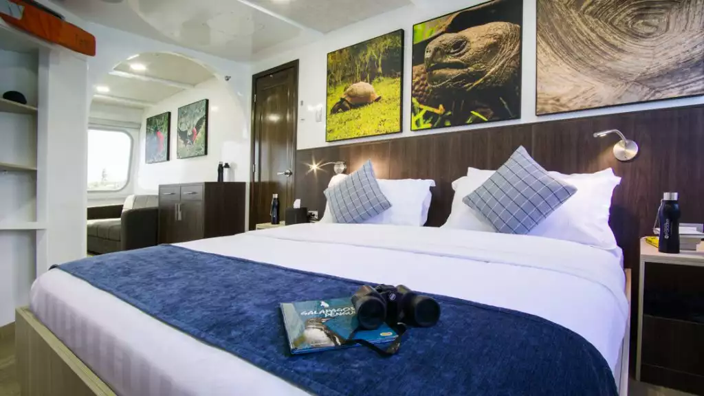 Main Deck Junior Suite with King Bed aboard Natural Paradise