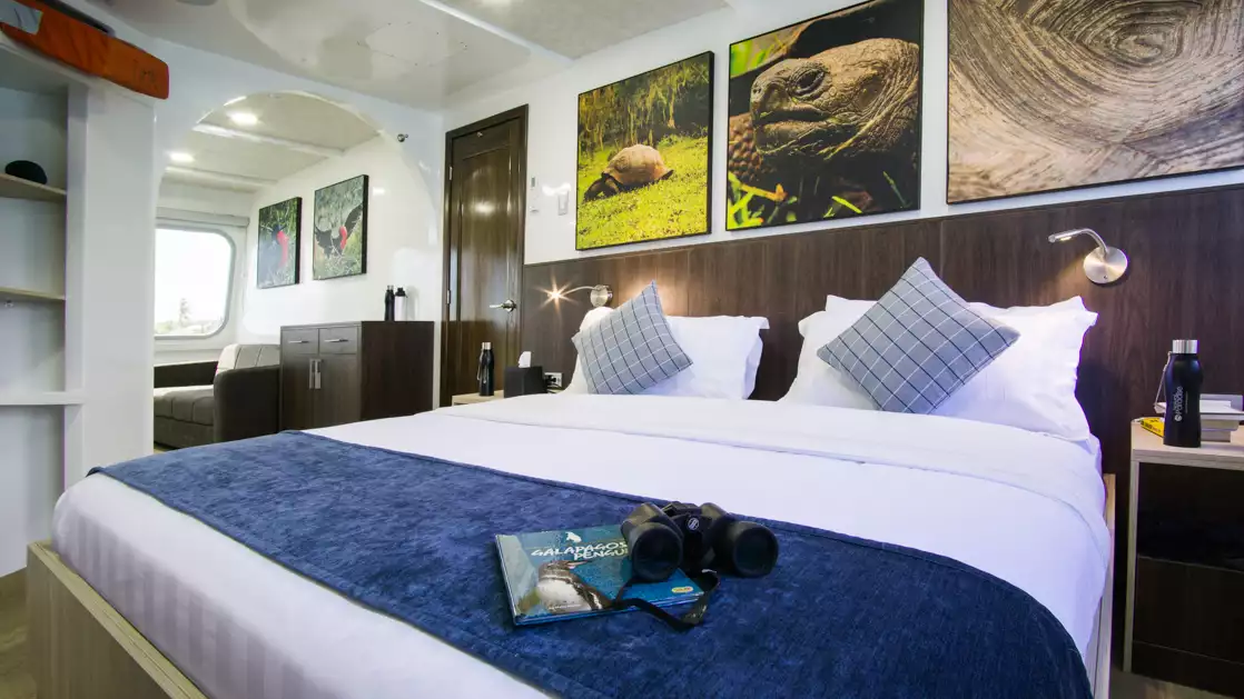 Enjoy a comfortable king bed in the junior suite with wood accents while aboard the Natural Paradise cruising in the Galapagos