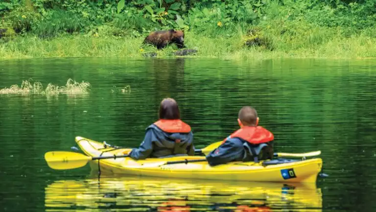Tandem kayakers in yellow boat float in glassy water as they watch a brown bear nearby on lush green shoreline in Alaska.