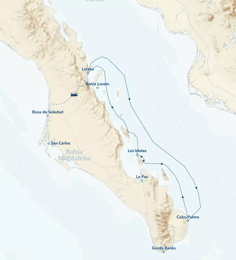 Route map of Baja California: Among the Great Whales, operating round-trip from Loreto, south to Cabo Pulmo & back with a day overland to Boca de Soledad.