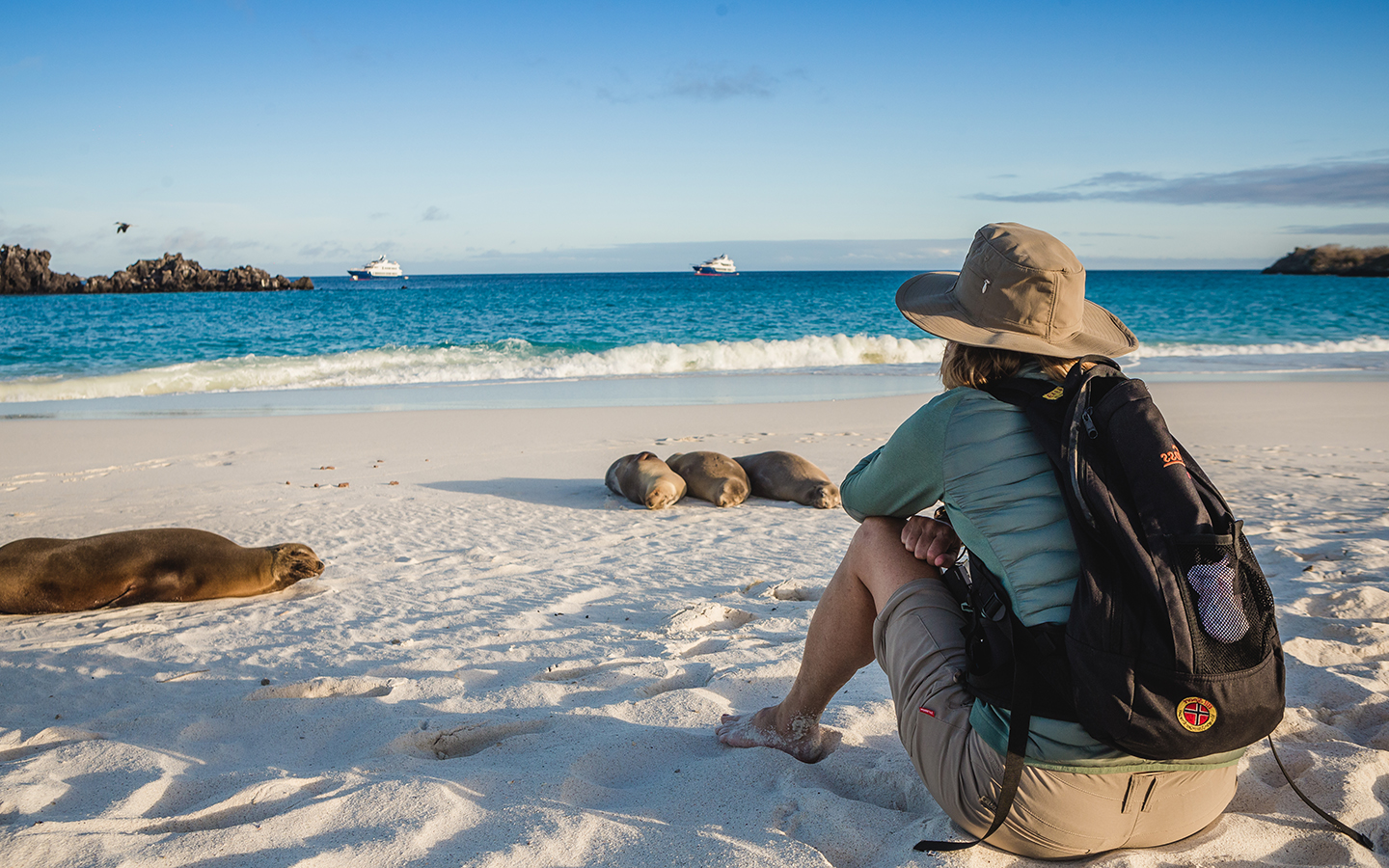 A female traveler with her back to camera wears a backpack and hat sitting on a white sand beach looking at sea lions