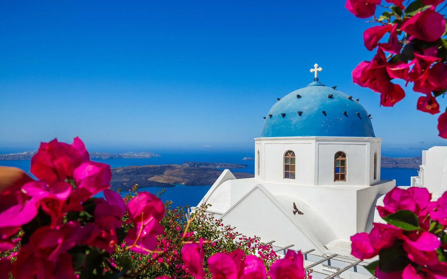 An iconic white-walled and blue-roofed house in Santorini seen on a cliffside with fushia bougainvillea in the foreground