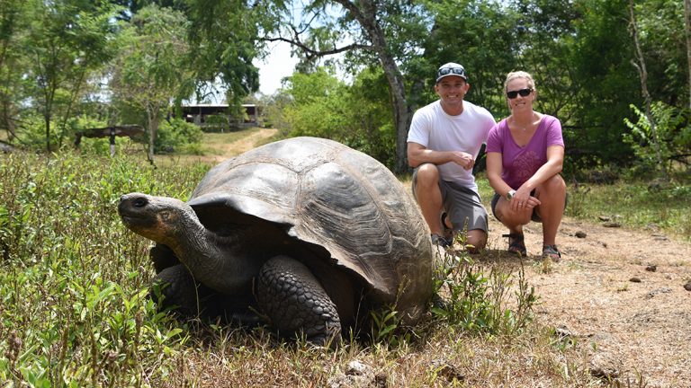 A male in a white shirt and female in a pink shirt kneel behind a giant Galapagos tortoise in the grass