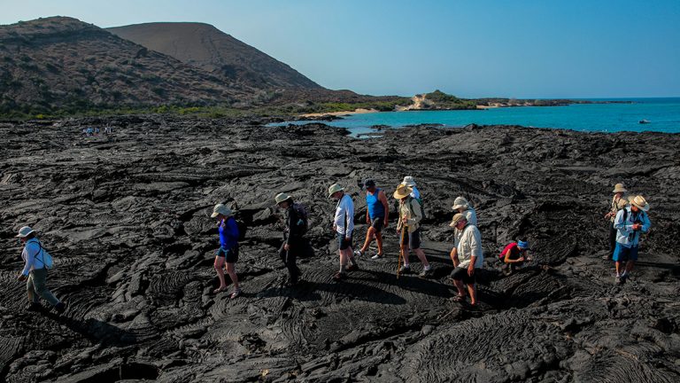 A group of travelers walks along dark black lava rock on the shore in the Galapagos