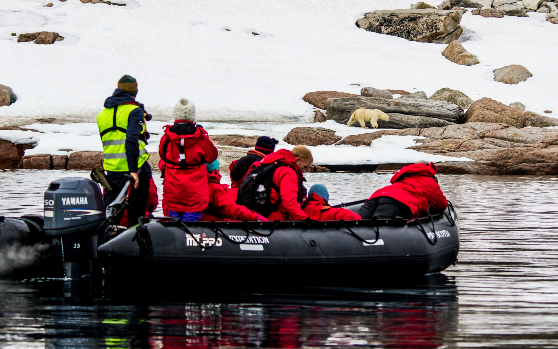 Travelers in red jackets sit in a zodiac that's cruising along a snowy and rocky shoreline with a white polar bear walking along the shore.