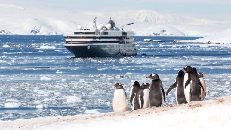 World Explorer small expedition ship with dark hull & white upper decks sits in icy waters offshore of black & white gentoo penguins.