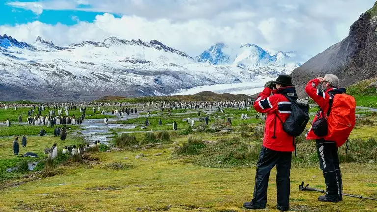 Two explorers photograph scenic views with meadows of penguins in green grass and snowy mountains in the distance.