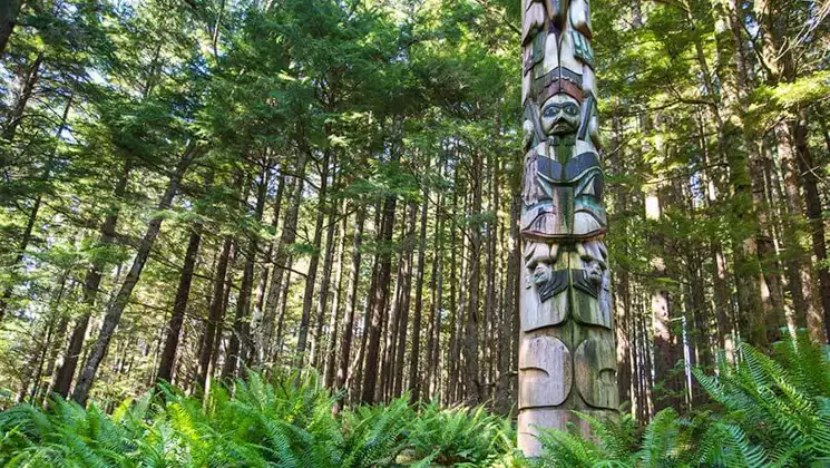 Weathered totem pole stands among bright green ferns & backed by tall trees, seen on the Wild Alaska Odyssey cruise.