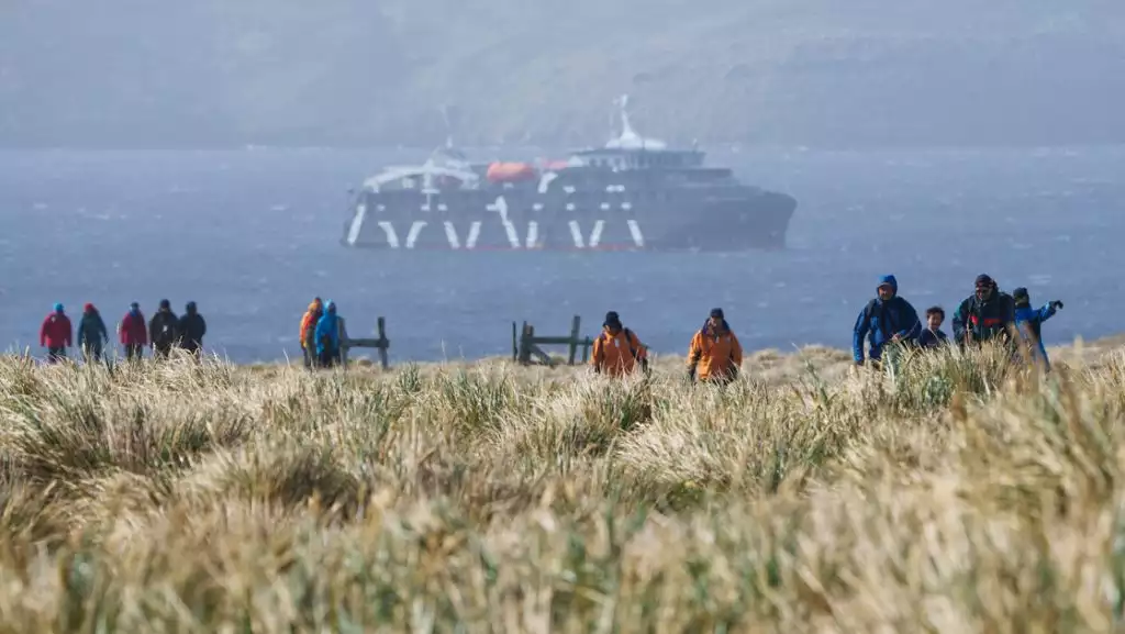 Antarctica & South Georgia Air Cruise travelers walk amongst tall grasses as modern expedition ship sits offshore.