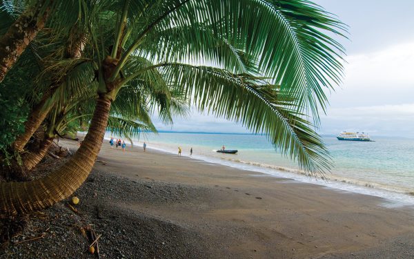 Costa Rica small cruise ship seen at anchor in a still shoreline with palm trees arching over a secluded beach