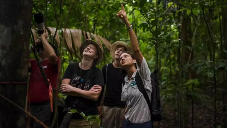 Guests on an expedition hike through the jungle of Smithsonian Tropical Research Institute, Barro Colorado, Panama, as guide points.
