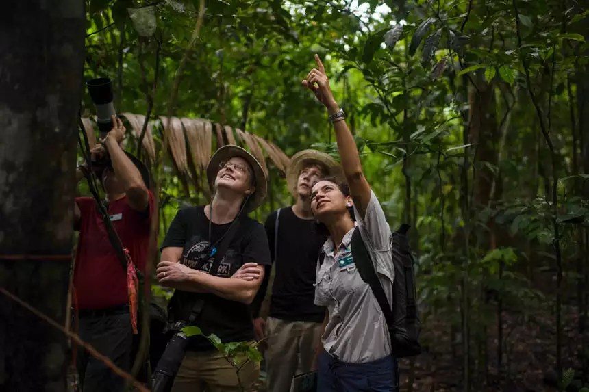 Guests on an expedition hike through the jungle of Smithsonian Tropical Research Institute, Barro Colorado, Panama, as guide points.
