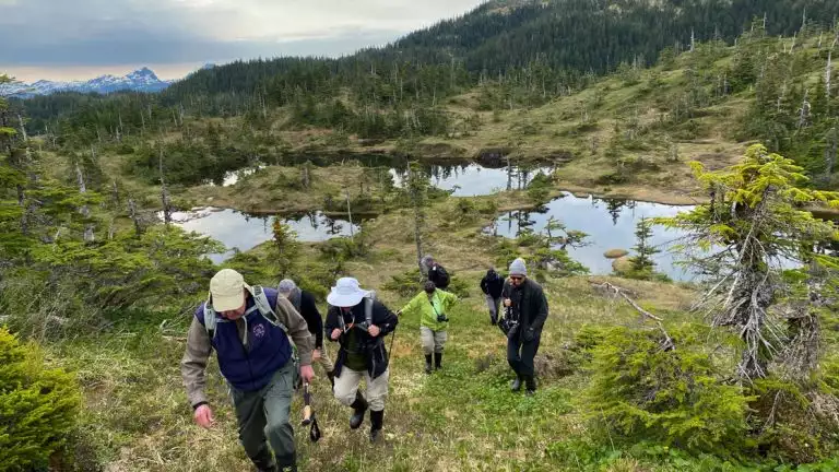 A group of adventuriists hike through the Alaskan forest ressed from head to toe in hiking gear in front of bodys of water