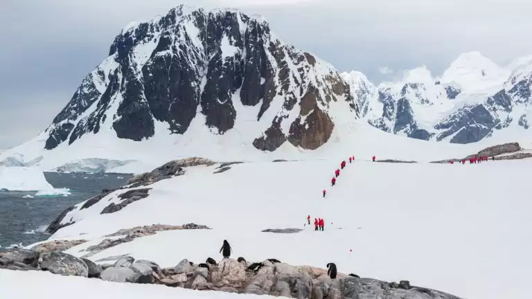 Hikers venture into snowy mountains and breath taking landscapes while penguins hangout on bare rocks