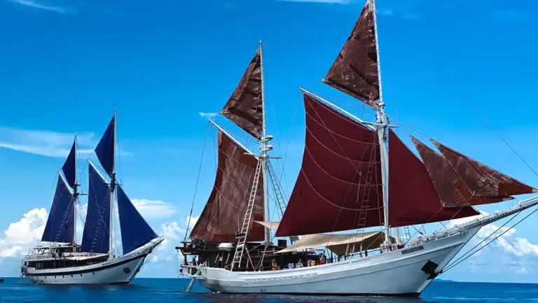 2 small wooden sailing ships with white-painted hulls & blue & burgundy sails cruise in open blue sea on a sunny day in Indonesia.