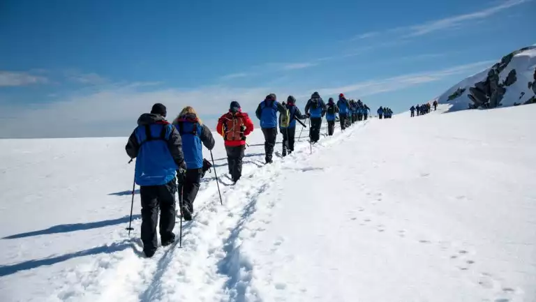 Small group of Antarctica Active cruise guests in blue parkas snowshoes in a pre-walked snowy line under sunny skies.