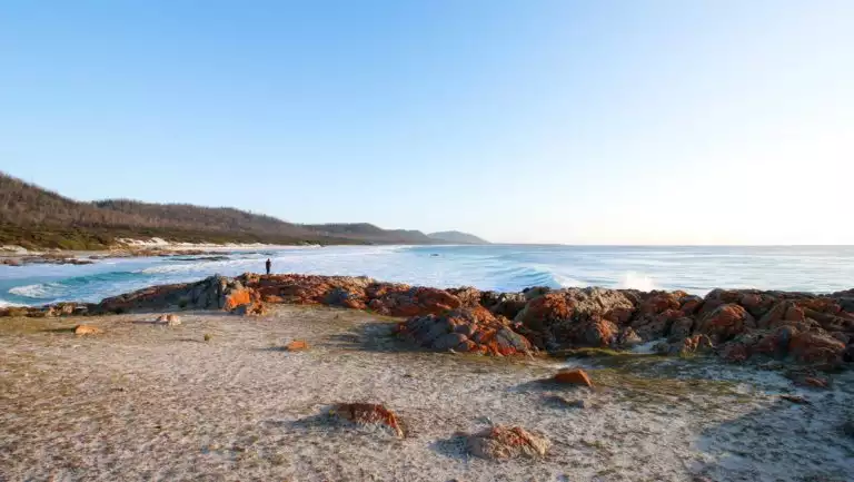 Tasmania cruise traveler stands on orange-lichen-covered rocks beside blue sea & white-sand beach backed by green hills.