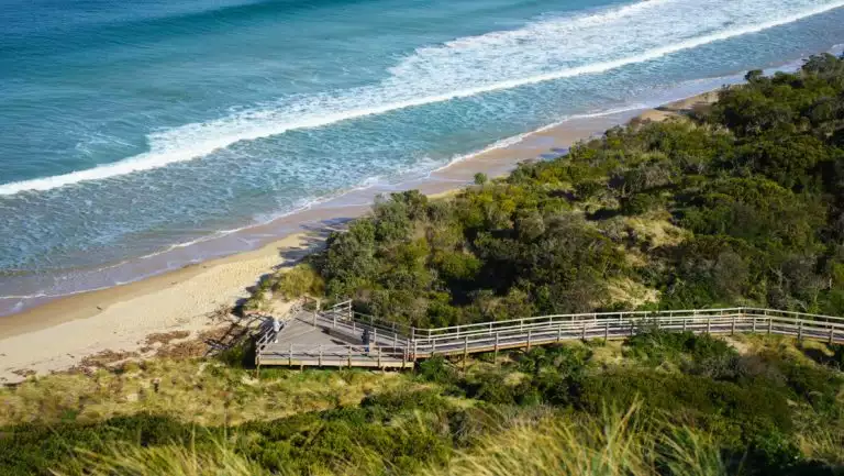 Aerial view of wooden boardwalk among green grasses & shrub trees with overlook onto white-sand beach & turquoise sea.