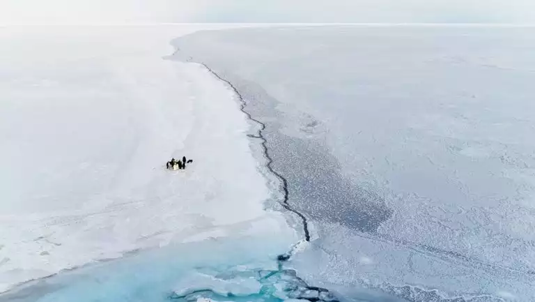 Aerial view of small group of emperor penguins standing on white snowfield beside blue ice in the Ross Sea.