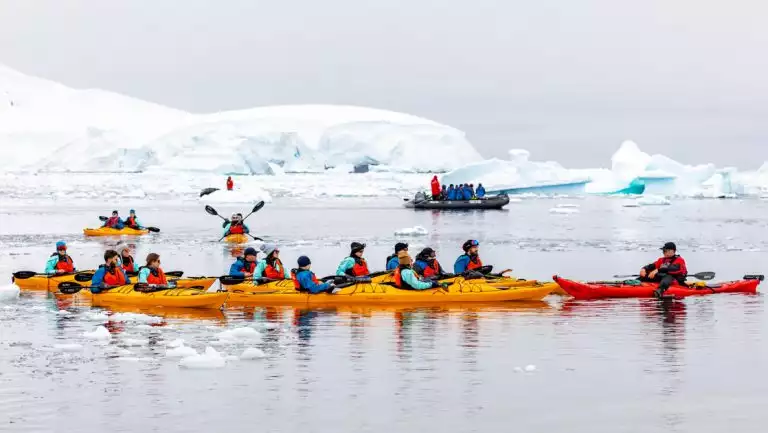 Small group of tandem kayakers in yellow boats rest beside guide in red boat while paddling among iceberg bits in Antarctica.