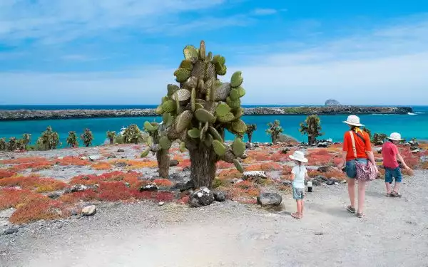 A bright blue sunny day in the Galapagos a mother and two kids explore an island filled with green cacti and bright red plants