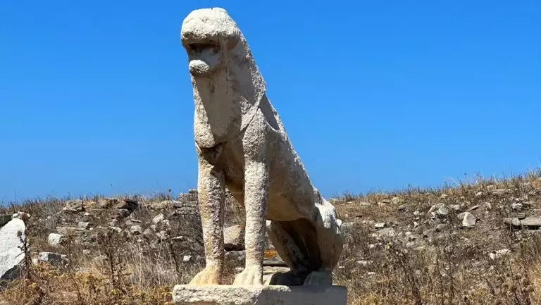 Stone lion sits among dried out grasses in bright sun on island of Delos, seen on the Greek Isles Odyssey small ship cruise.