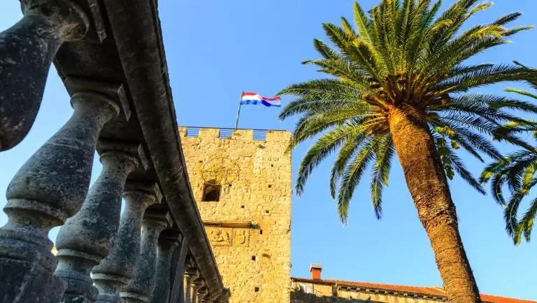 Large palm tree sends green fronds in all directions beside beige castle walls with a red, white & blue Croatia flag flying.