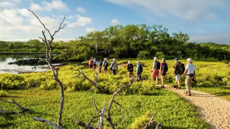 Guests on a dirt trail in green, lush Cerro Dragon, Santa Cruz Island