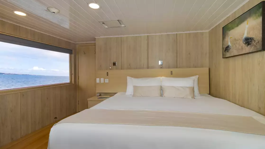 tan and wood bedroom with king bed on small cruise ship with ocean views
