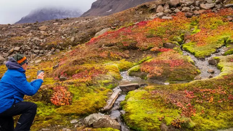 Traveler bends down to capture colorful and small waterfall and waterway in greenland.