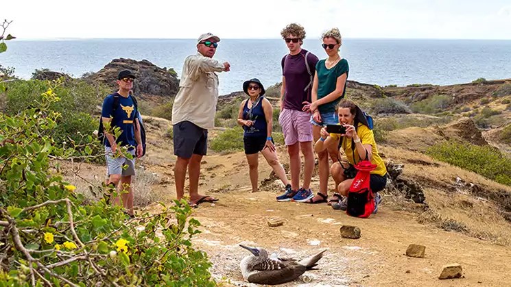 A group of travelers listens as their Galapagos park guide points towards a blue footed boobie nesting on the dirt