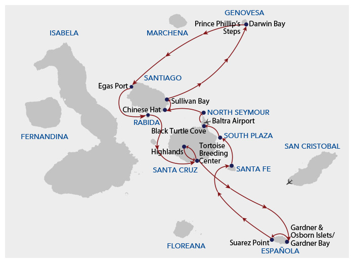 A cruise route map showing the path of Galapagos Angel cruise on its 8 day central itinerary a