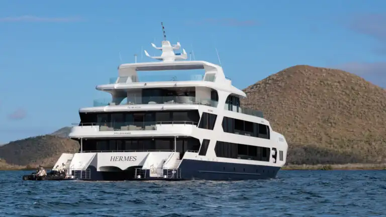 Aft of Hermes Galapagos catamaran with 2 small swim platforms & 4 teak decks with chaise loungers, couches & tables.