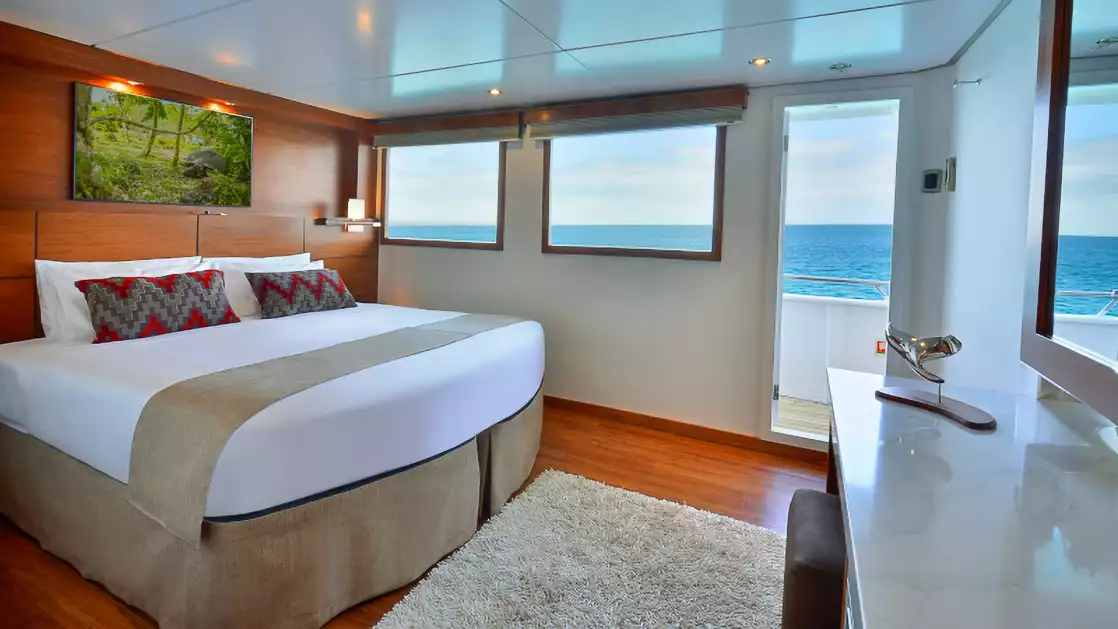 Category 4 Cabin aboard National Geographic Delfina with two windows, door to outside wrap around deck, one bed with photo above