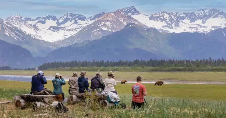 Travelers in a grassy field overlooking snowy mountains and watching and photographing bears from a far.