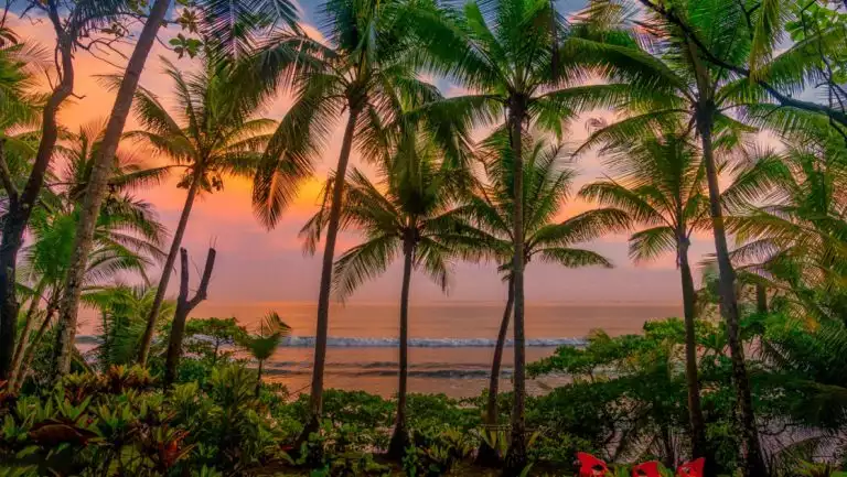 Beach in sunset of pink & orange with palm trees, green shrubs & white sand & calm waves, seen on a Costa Rica luxury cruise,