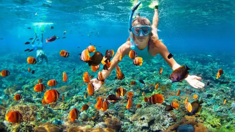 Female snorkeler swims underwater to see a school of orange fish on the Kontiki Pura Vida Expedition Cruise in Costa Rica.