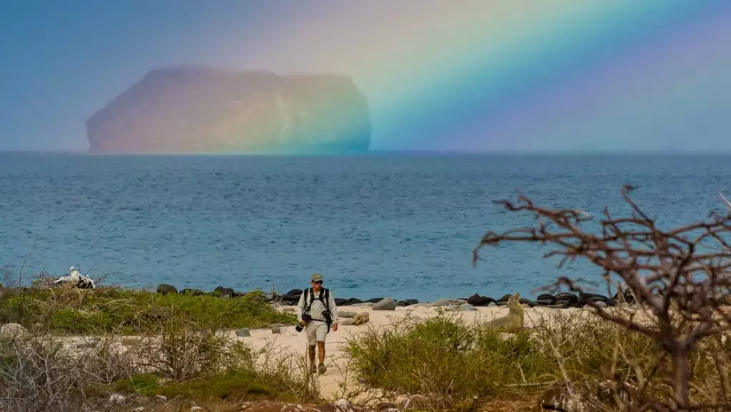 An expedition guide photographs animals on the beach with a rainbow behind them during a Nat Geo Galapagos by Catamaran cruise.