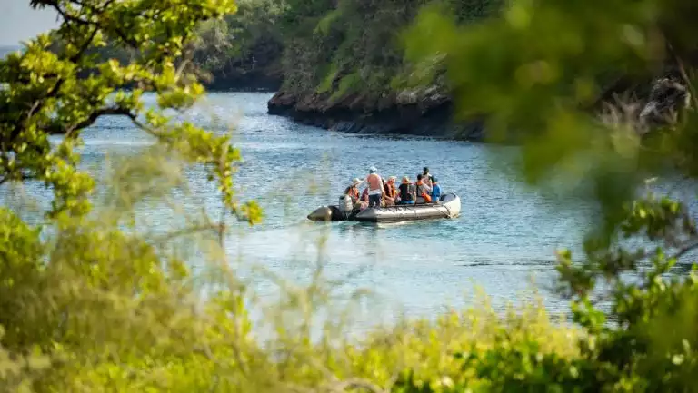 Guests exploring by Zodiac cruise among lush green shoreline during a Nat Geo Galapagos catamaran cruise on Delfina.