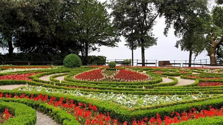 Designer garden with shaped bushes and red flowers with small stones inbetween