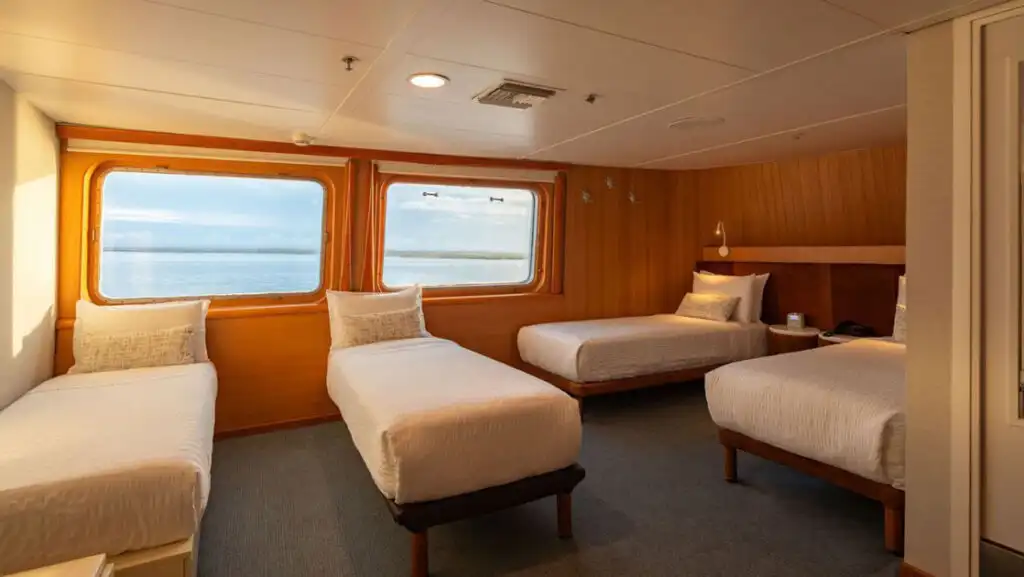 Legend Suite (quad occupancy) aboard Galapagos Legend 