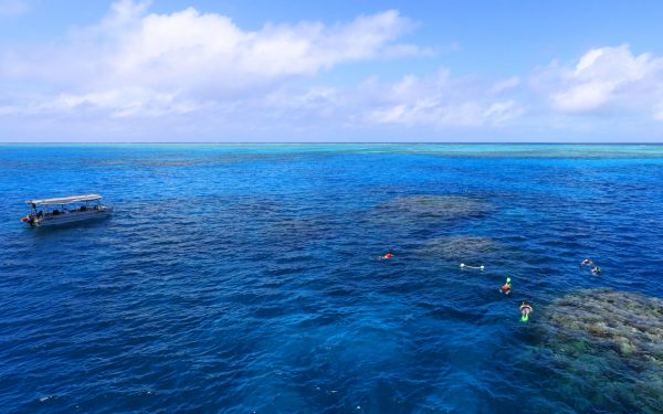 snorkelers swim over the great barrier reef off small day boat in bright blue waters on a sunny day.
