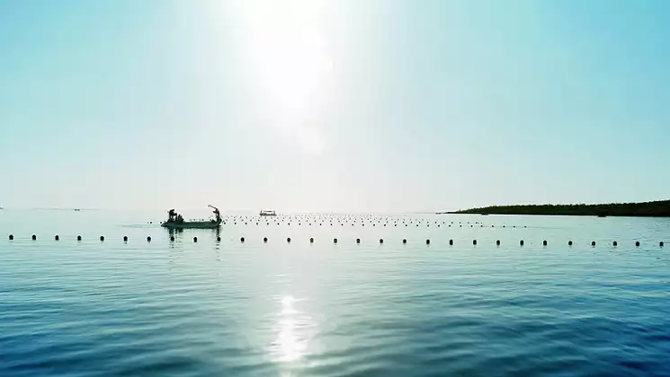 Worker in small boat sits in calm blue sea between floating lines on a pearl farm, seen on the Paspaley Pearling Coast cruise.